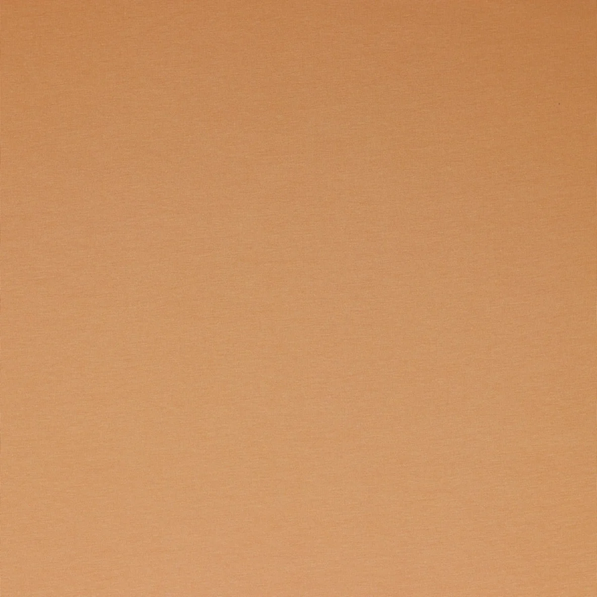 Bio Sommersweat "Josie" Uni Dunkellachs 068