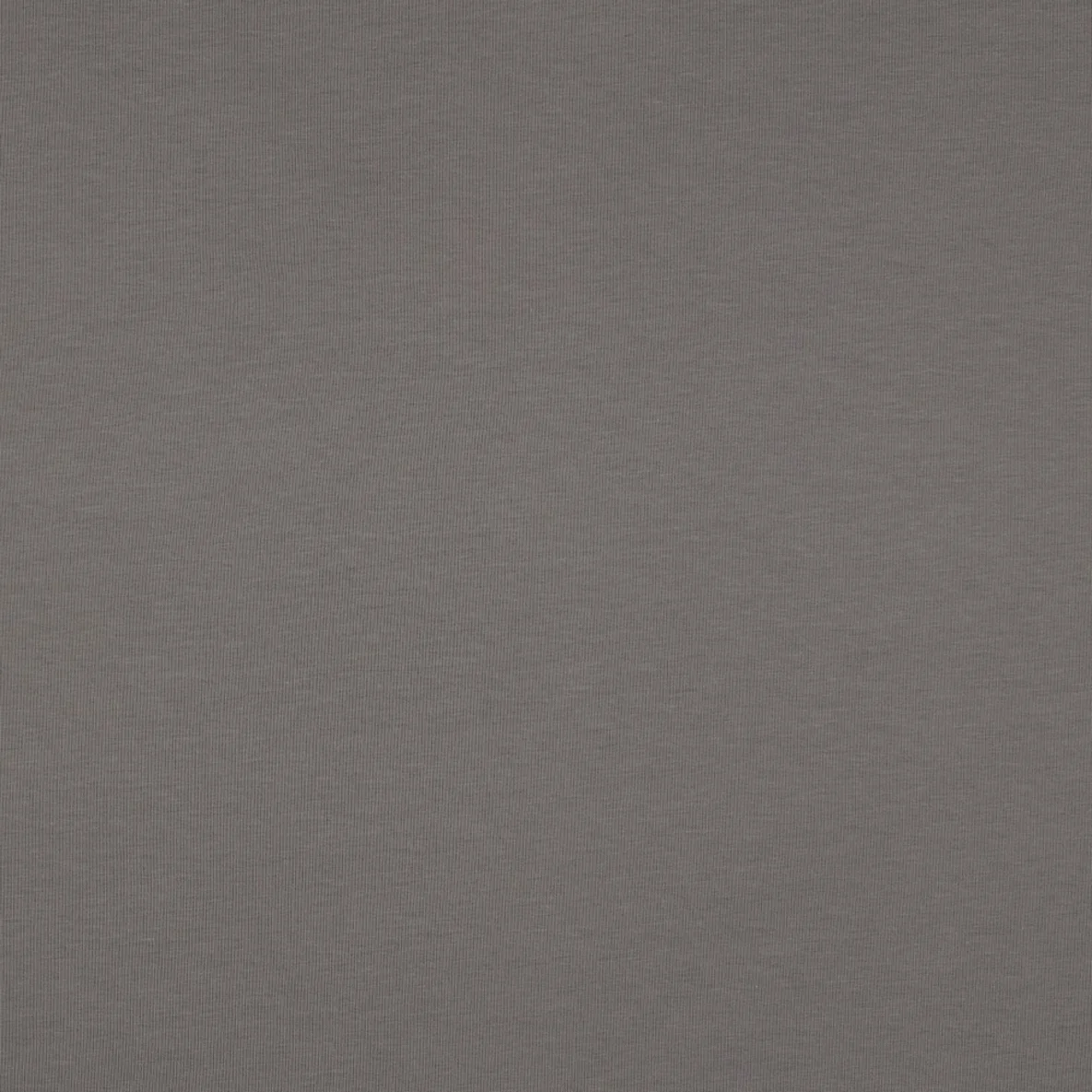 Bio Sommersweat "Josie" Uni Grau 003