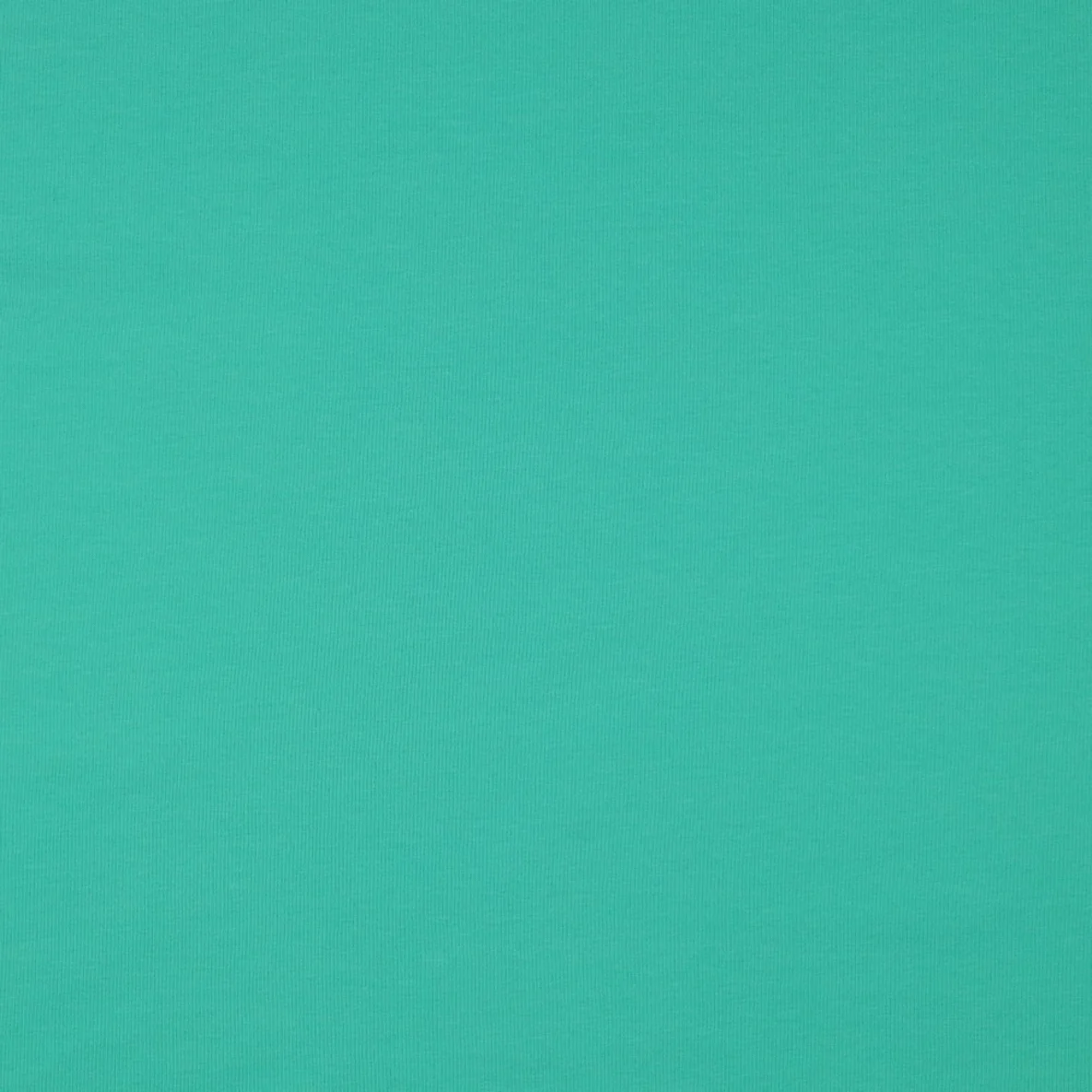 Bio Sommersweat "Josie" Uni Grün 076