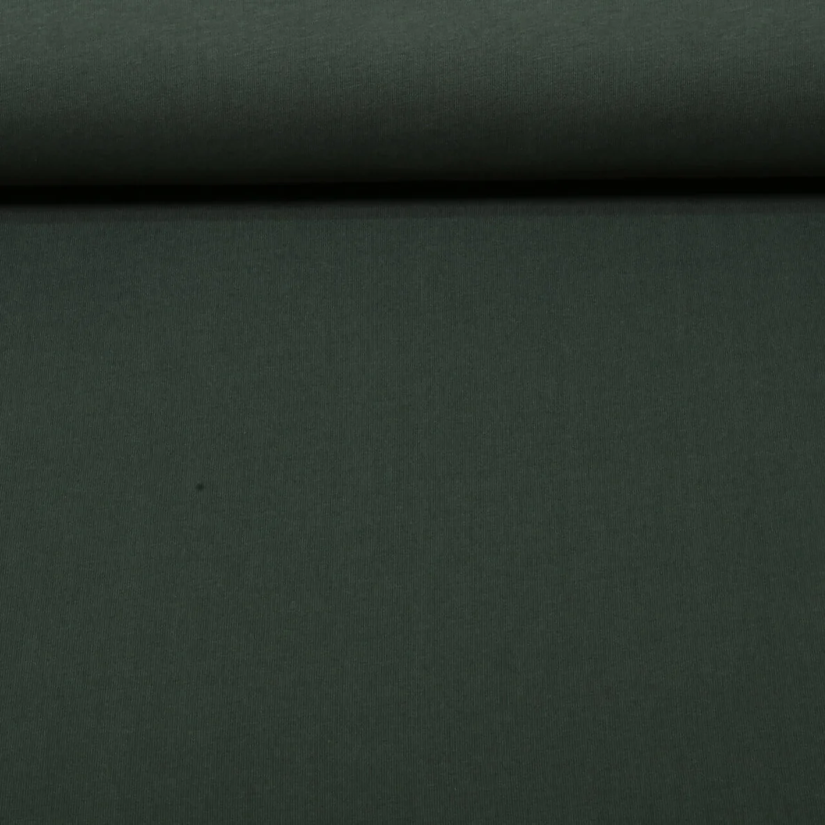 Bio Sommersweat "Josie" Uni Jägergrün  089