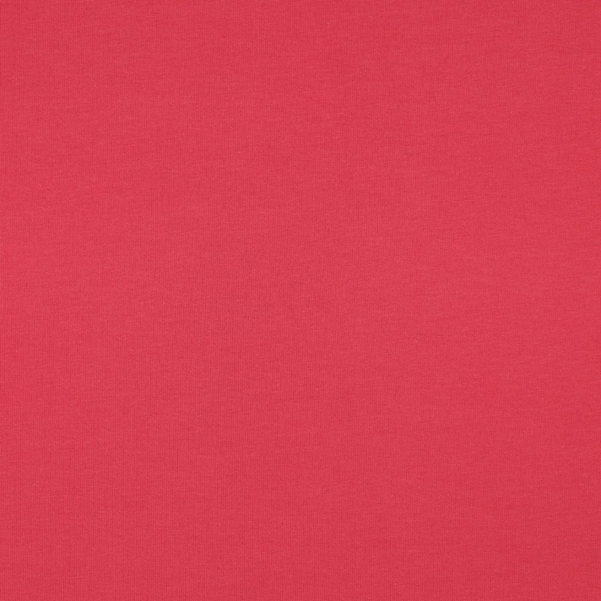 Bio Sommersweat "Josie" Uni Koralle 072