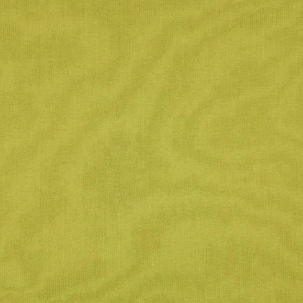 Bio Sommersweat "Josie" Uni Lime 030