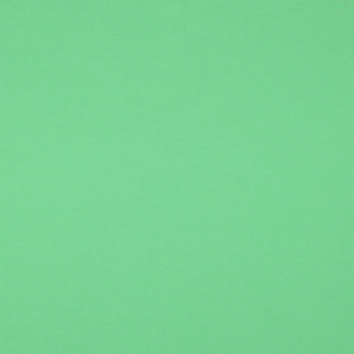 Bio Sommersweat "Josie" Uni Lime 085