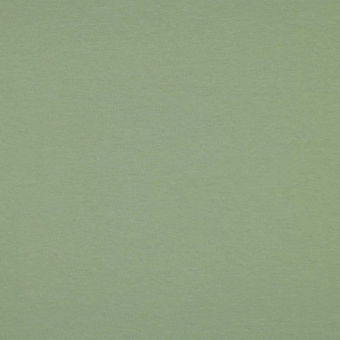 Bio Sommersweat "Josie" Uni Mint 063