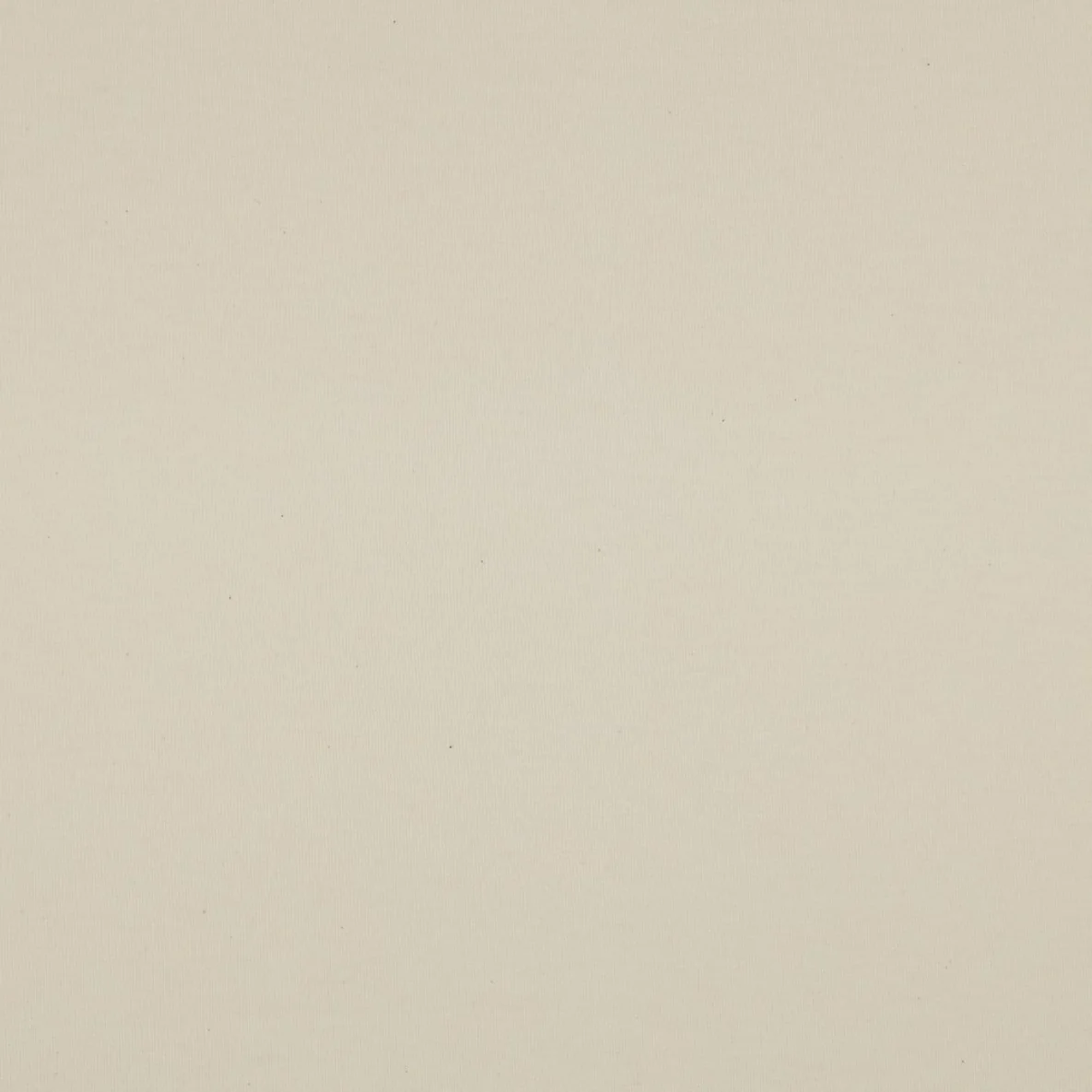 Bio Sommersweat "Josie" Uni Natur 077