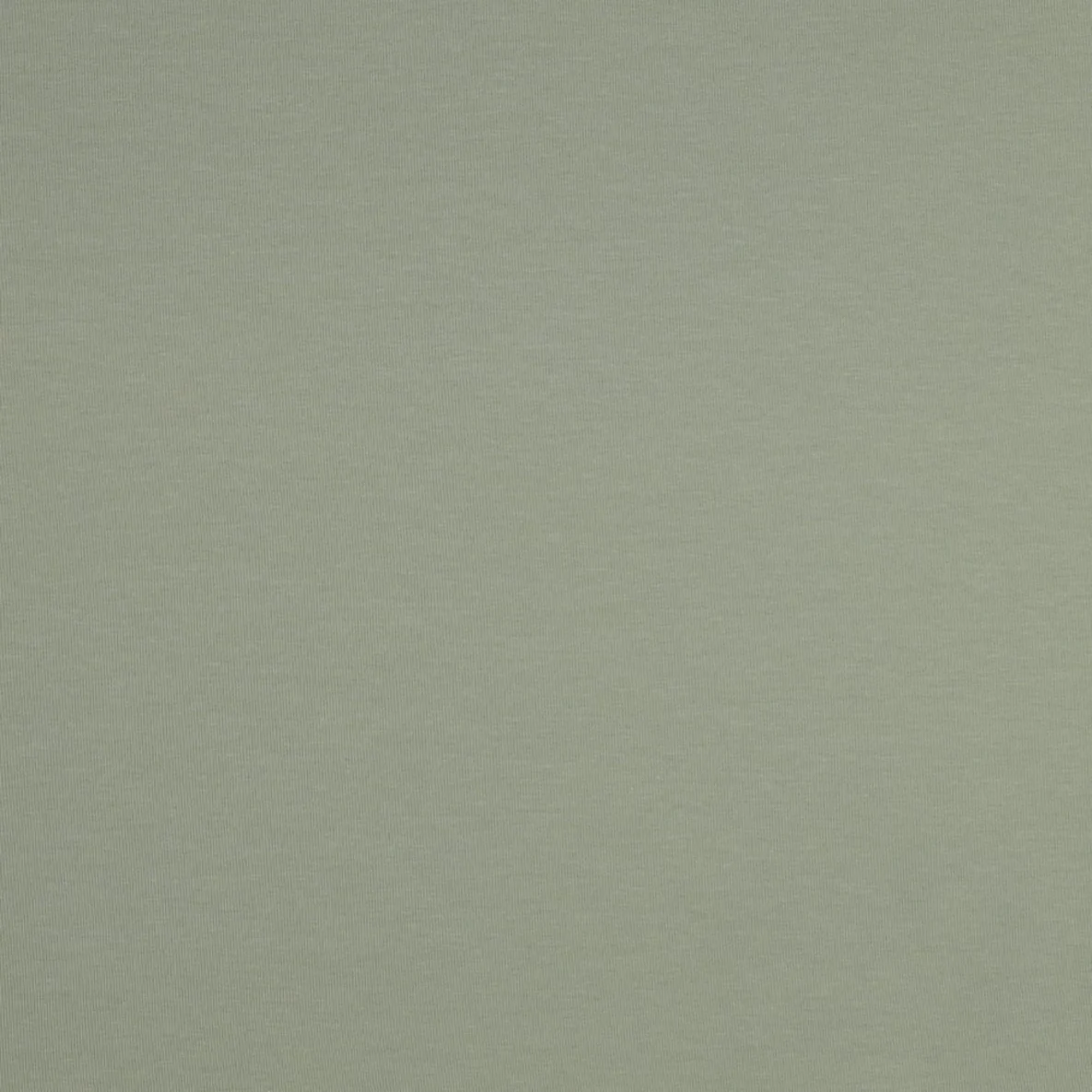 Bio Sommersweat "Josie" Uni Salbeigrün 058