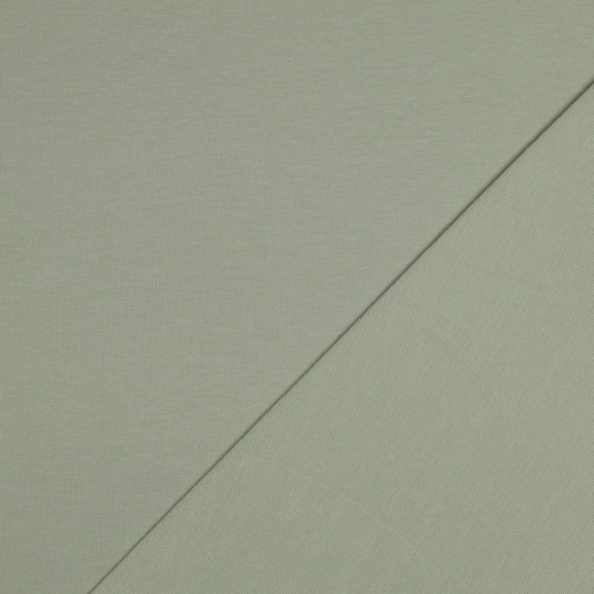 Bio Sommersweat "Josie" Uni Salbeigrün 058