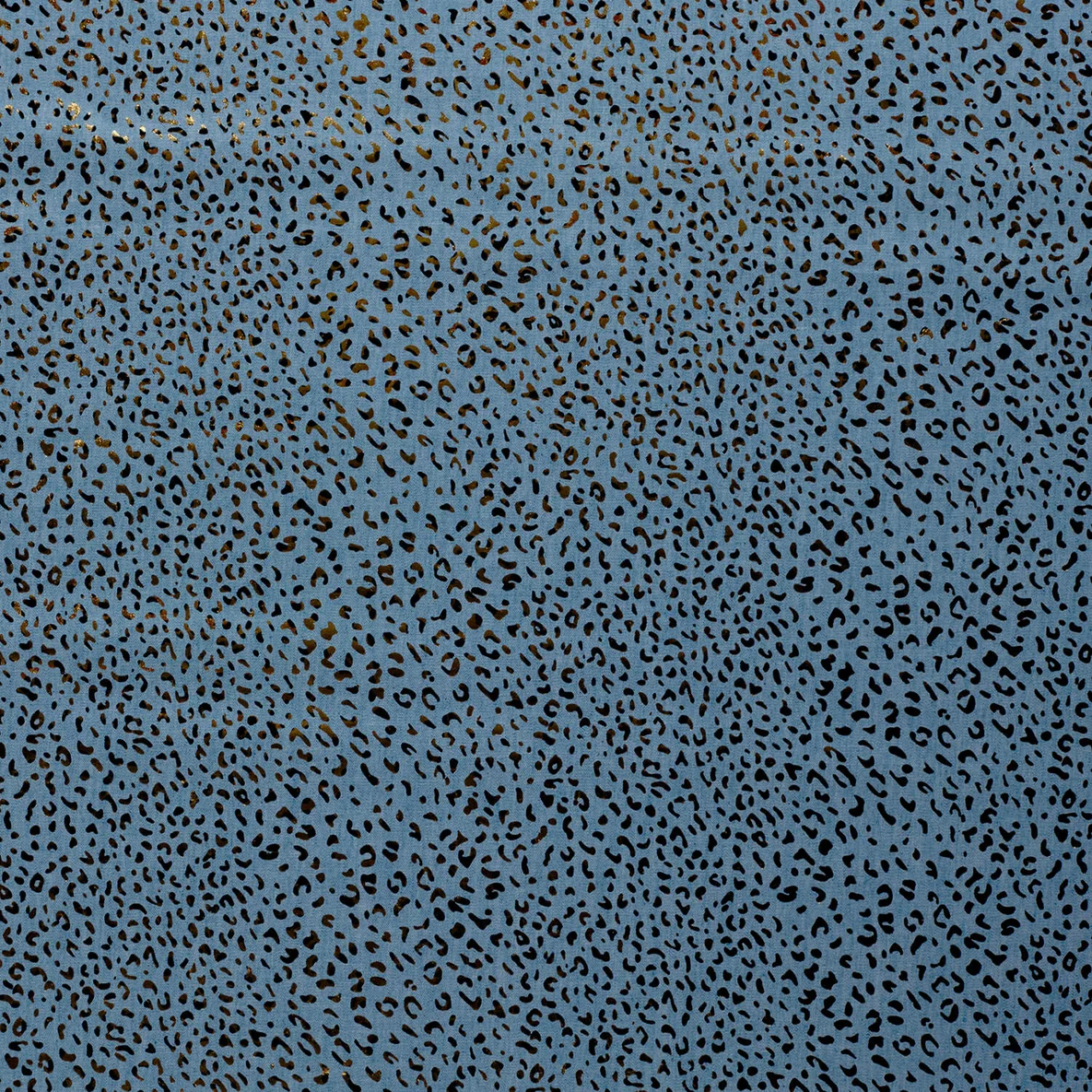 Blusenjeans Leo Foliendruck Hellblau