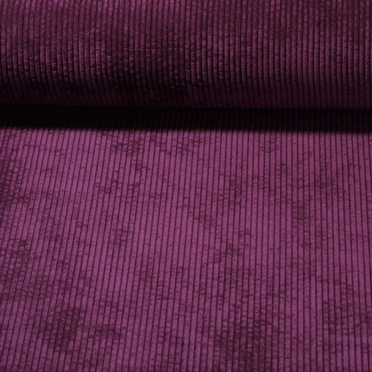 Breitcord Brombeere
