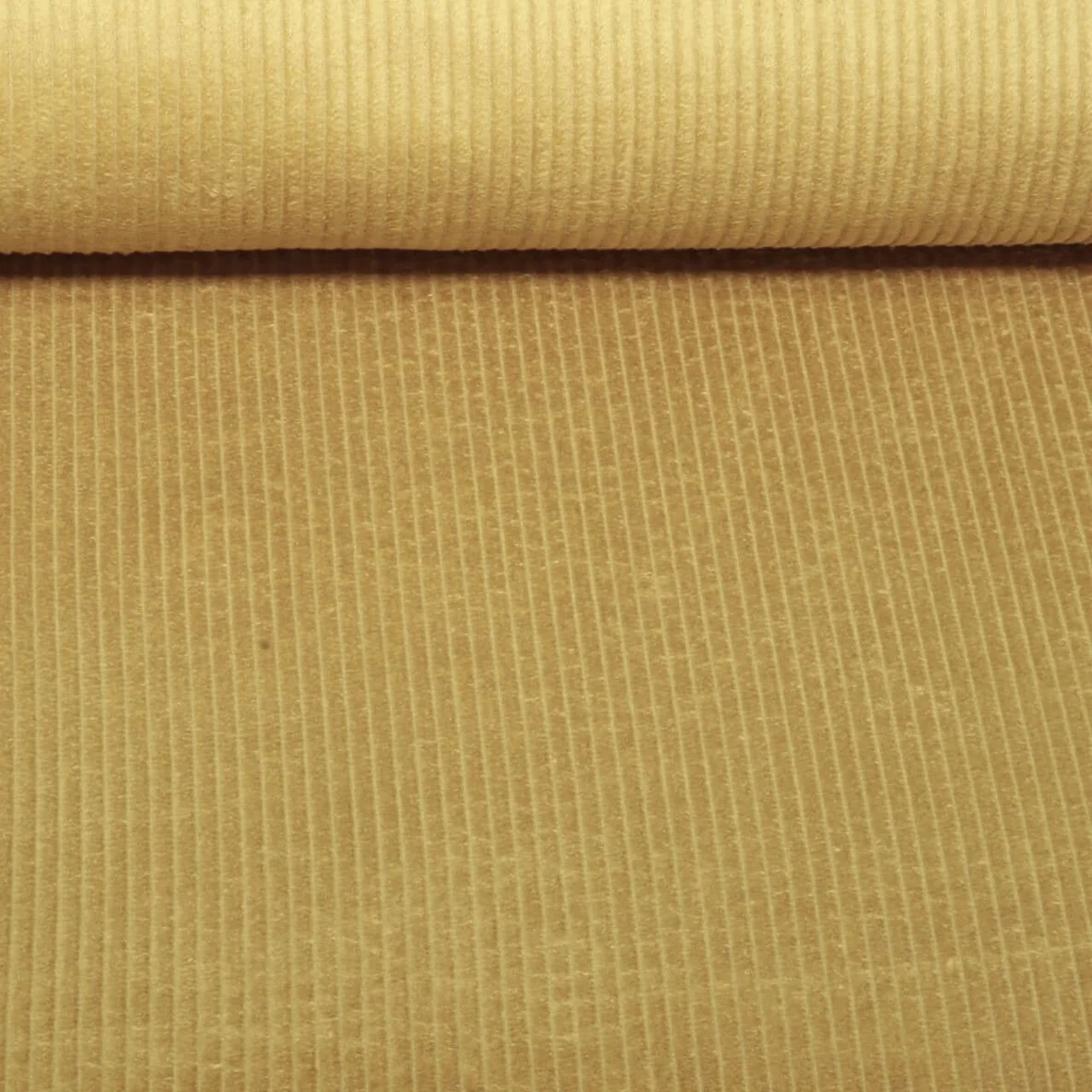 Breitcord "Fiona" Curry