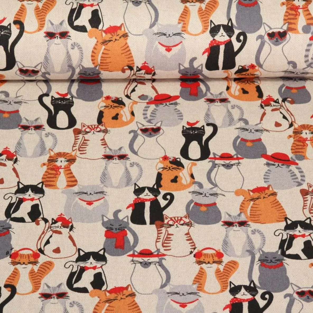 Canvas Katzen Beige Grau