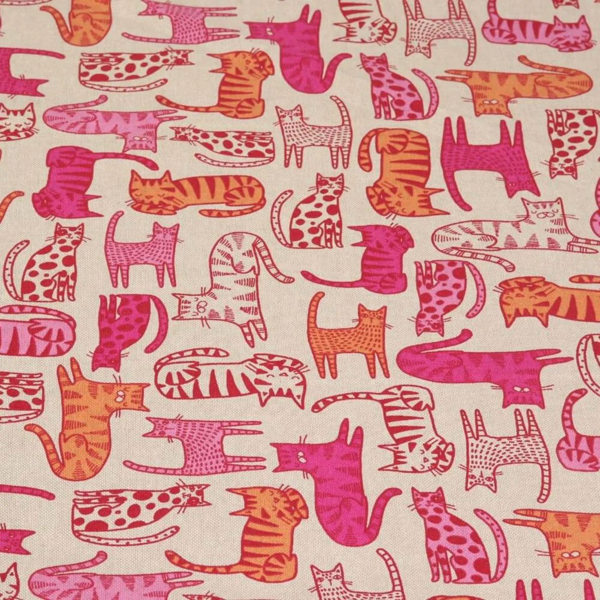 Canvas Katzen Beige Pink