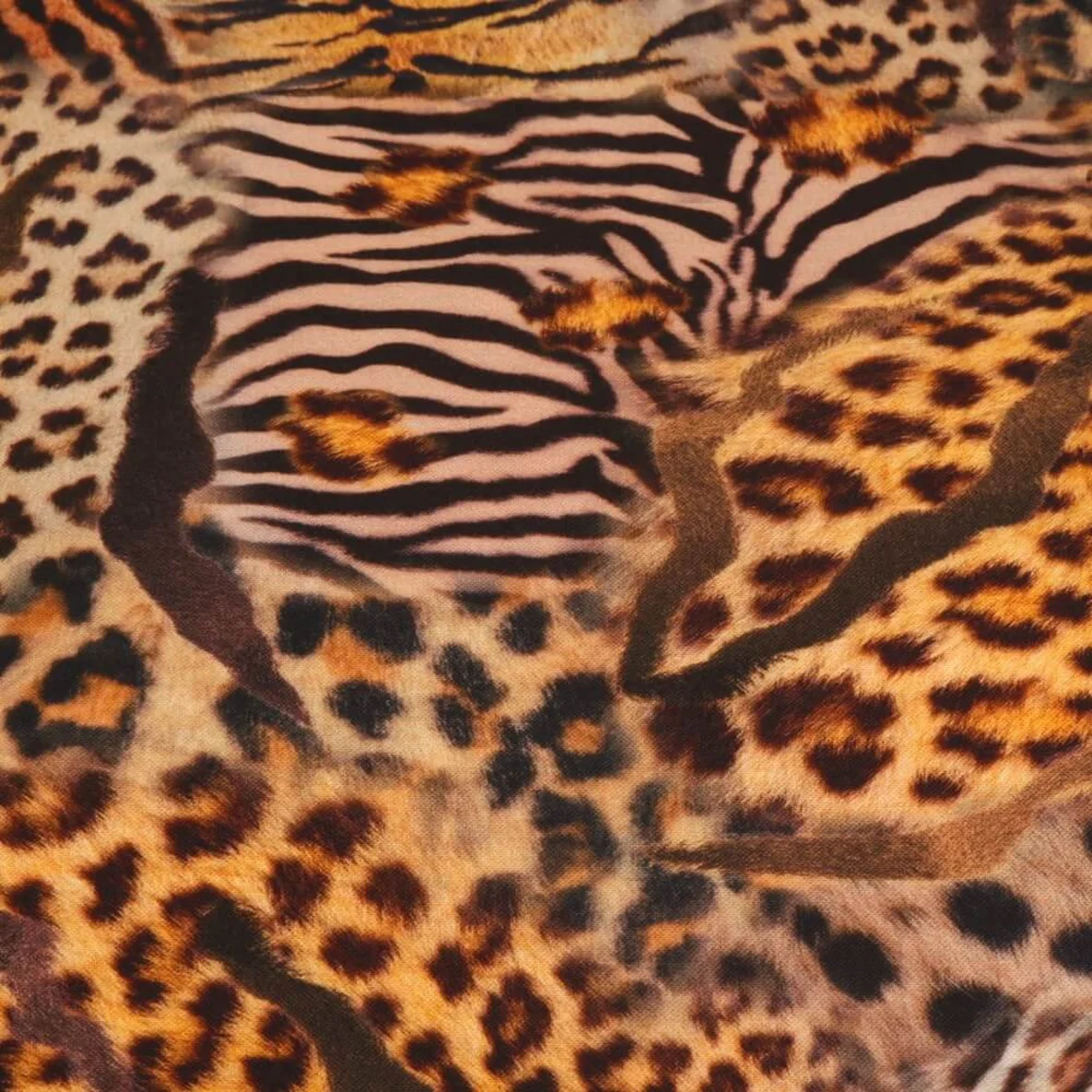 Canvas Leo Mix Orange