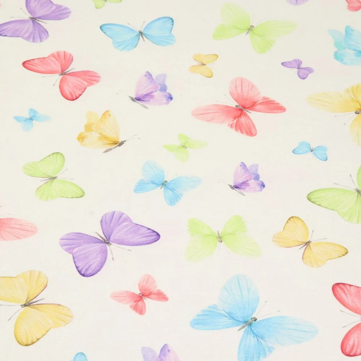 Canvas Schmetterlinge Weiß