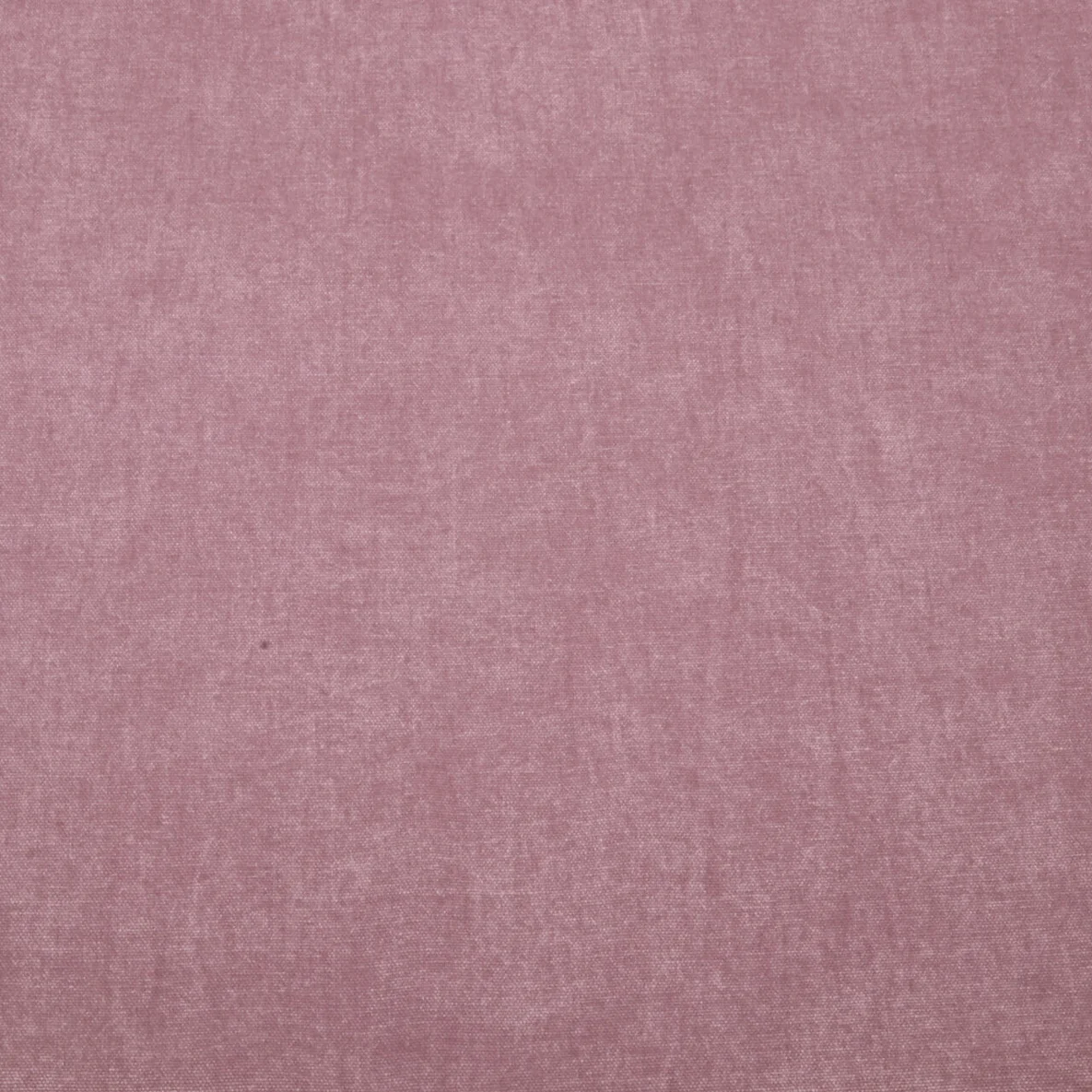 21567ac83127418e9abd581e4fff2005