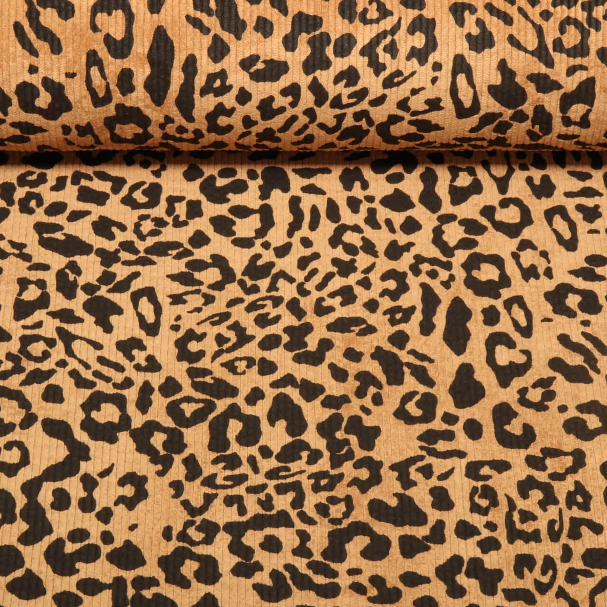 Cord Stretch Leo Braun