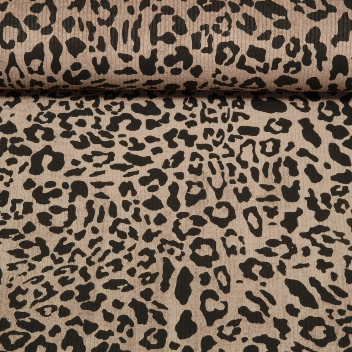 Cord Stretch Leo Taupe