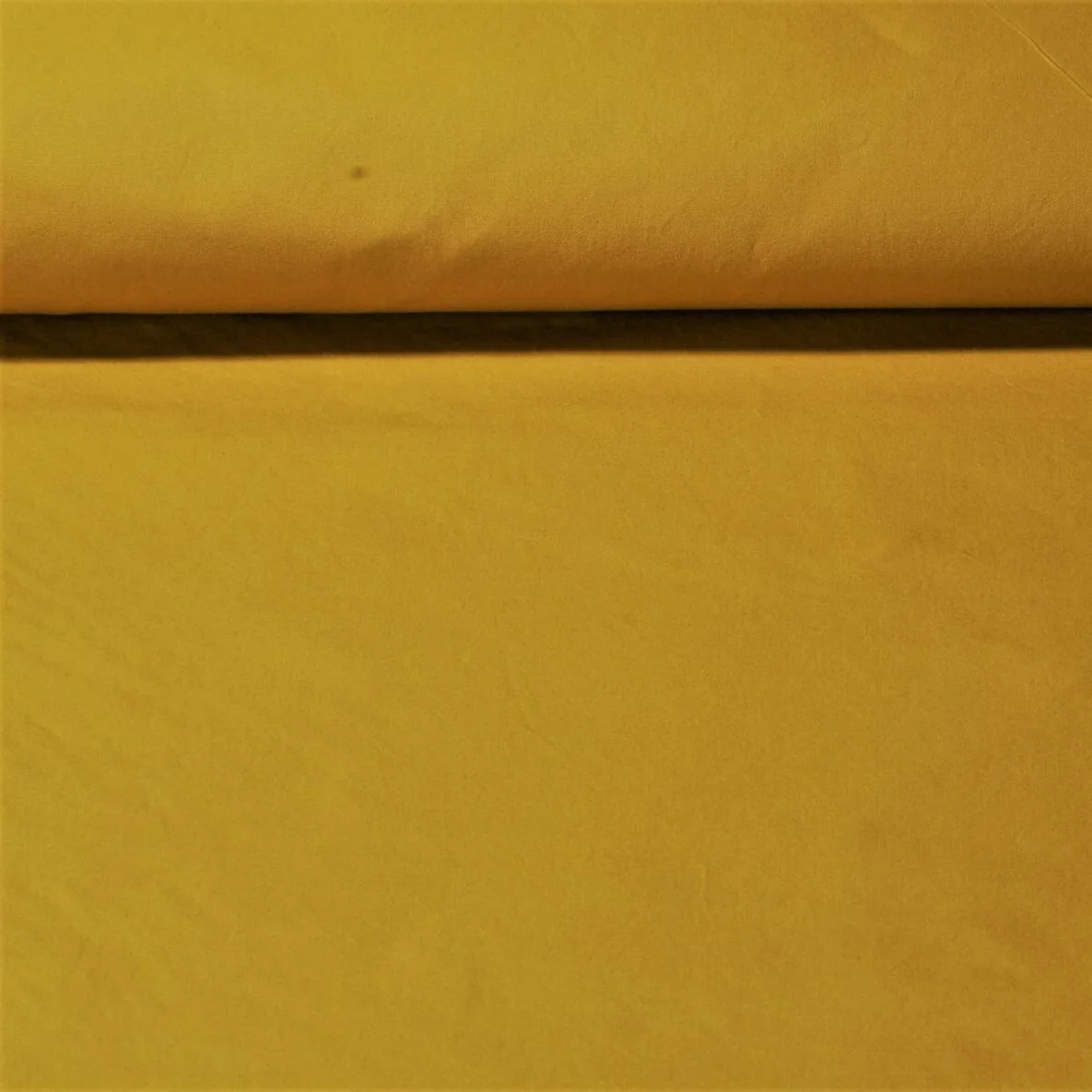 Dry Oilskin Light Curry