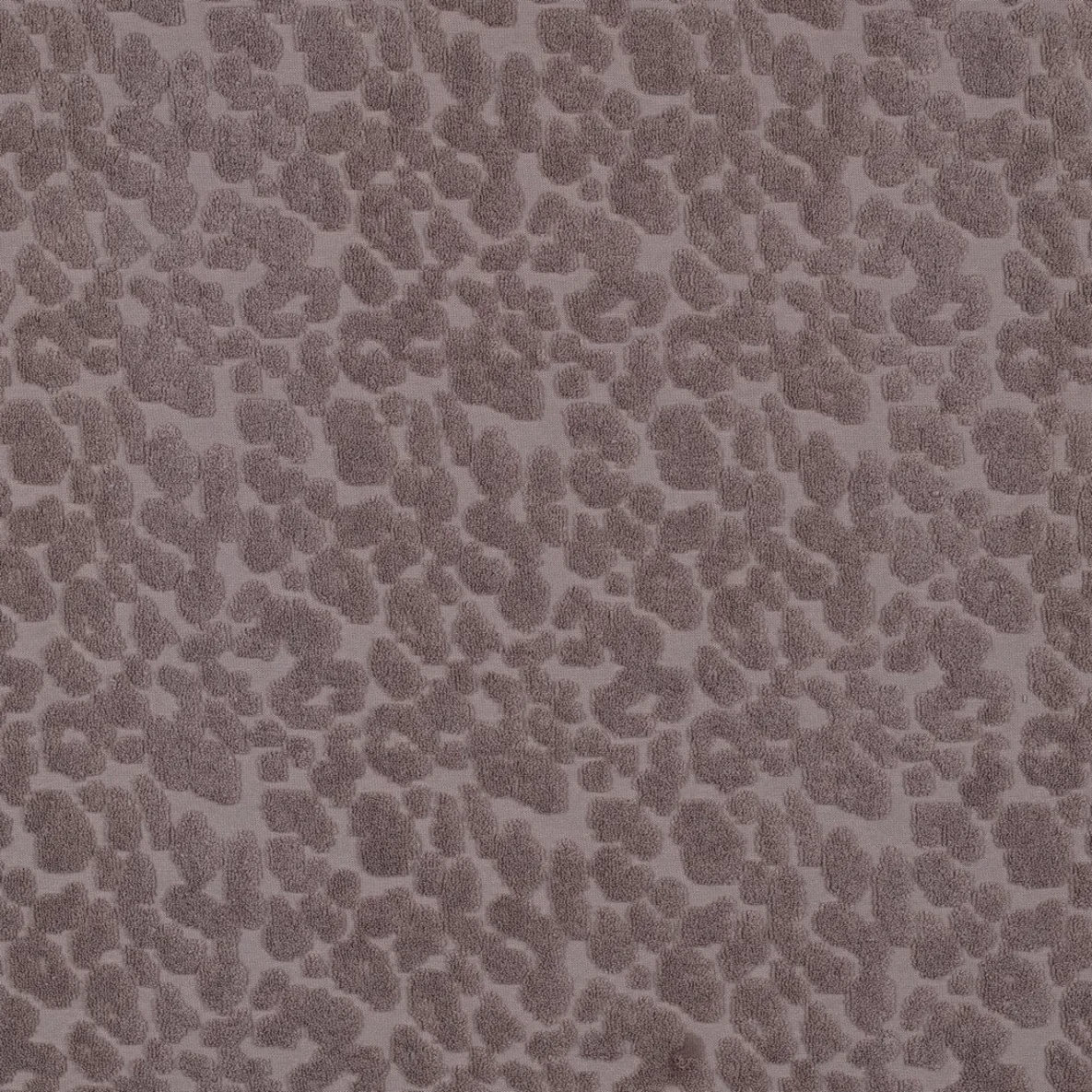 Frottee Jersey Leo Mauve