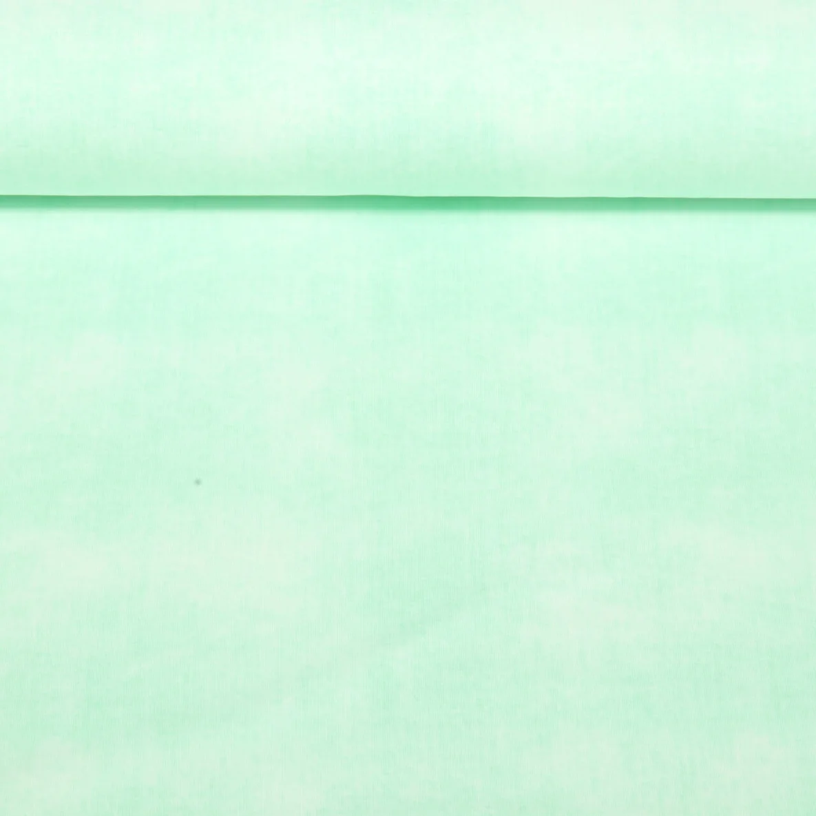 Jersey Jeansoptik Mint