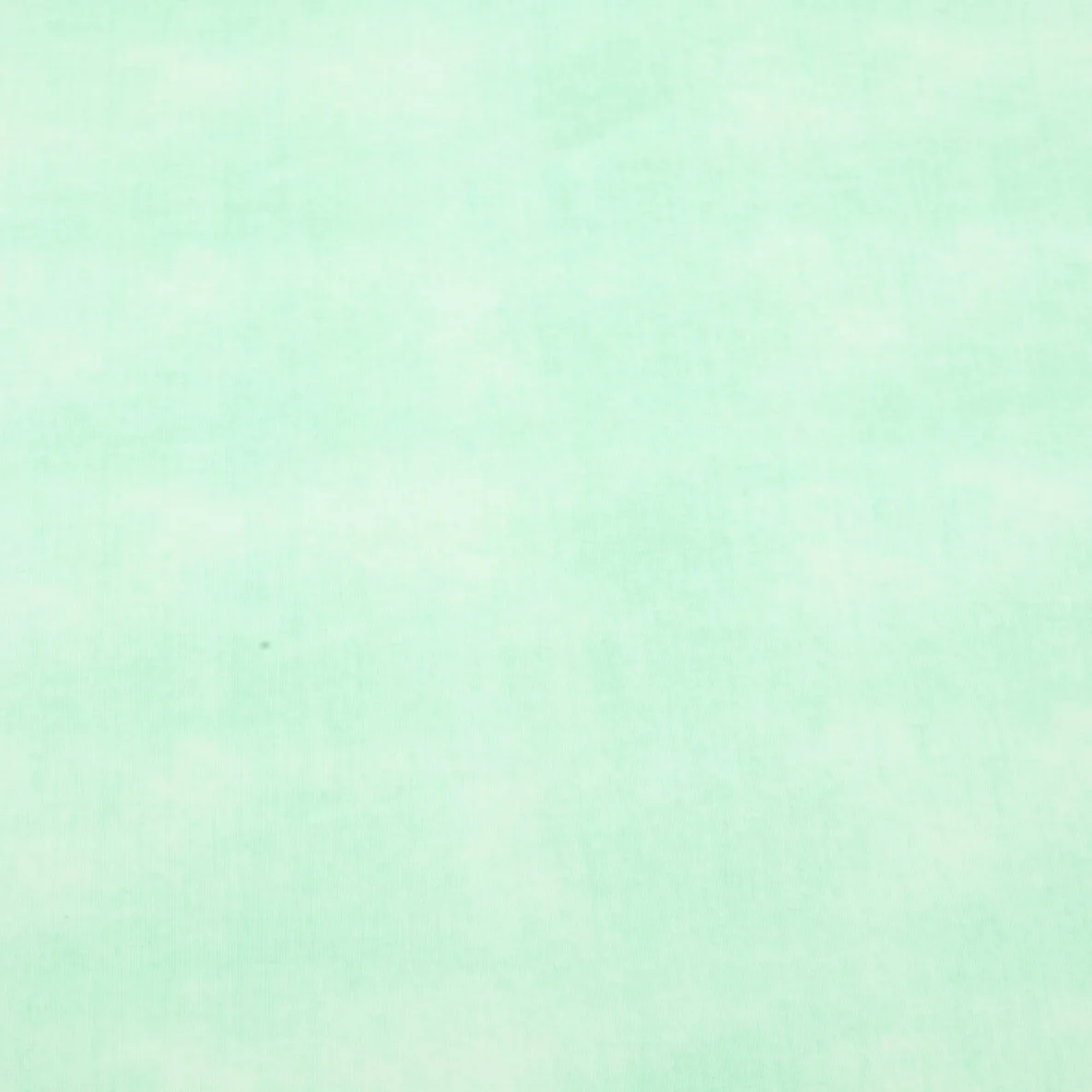 Jersey Jeansoptik Mint