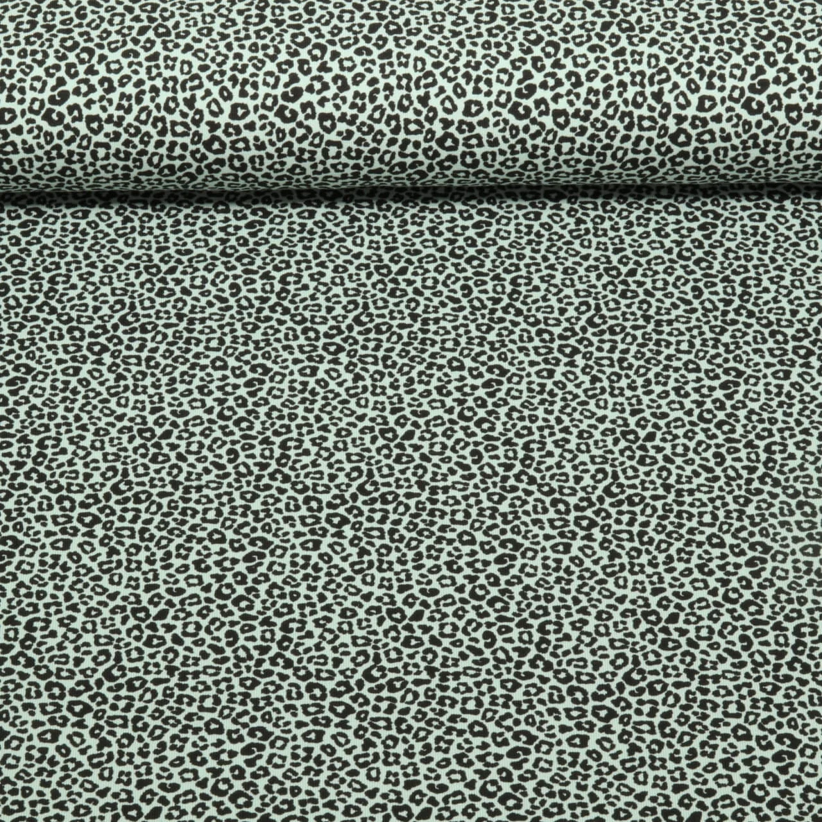 Jersey Leo Klein Mint