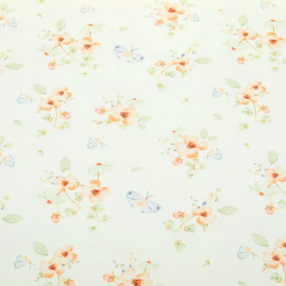 Jersey Little Jax Digitaldruck Blumen und Schmetterlinge Hellbeige