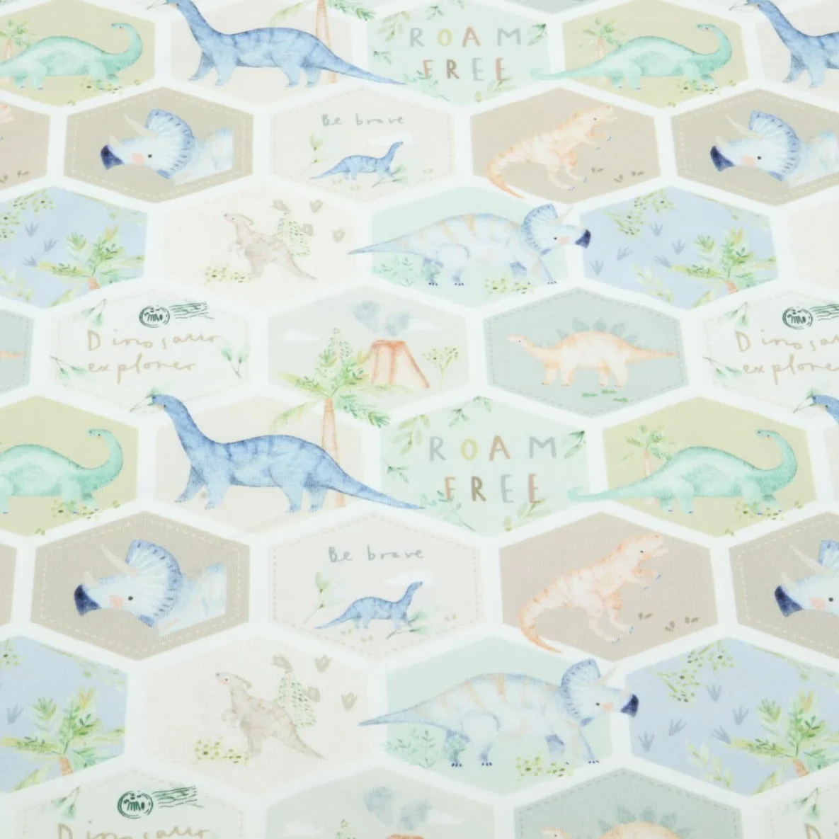 Jersey Little Jax Digitaldruck Dinos Hexagon Ecru