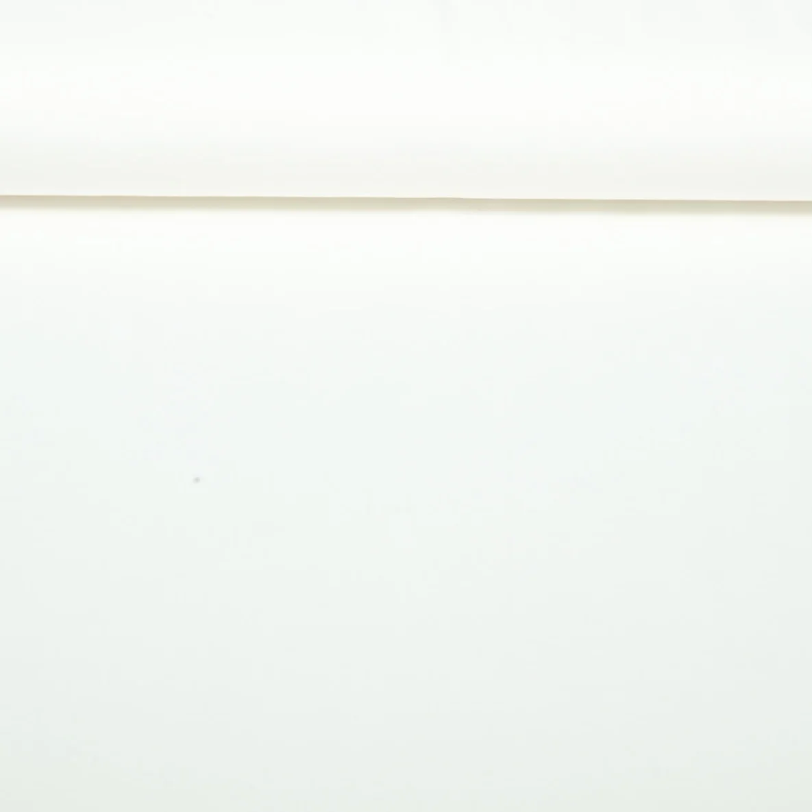 Jersey Little Jax Uni Ecru