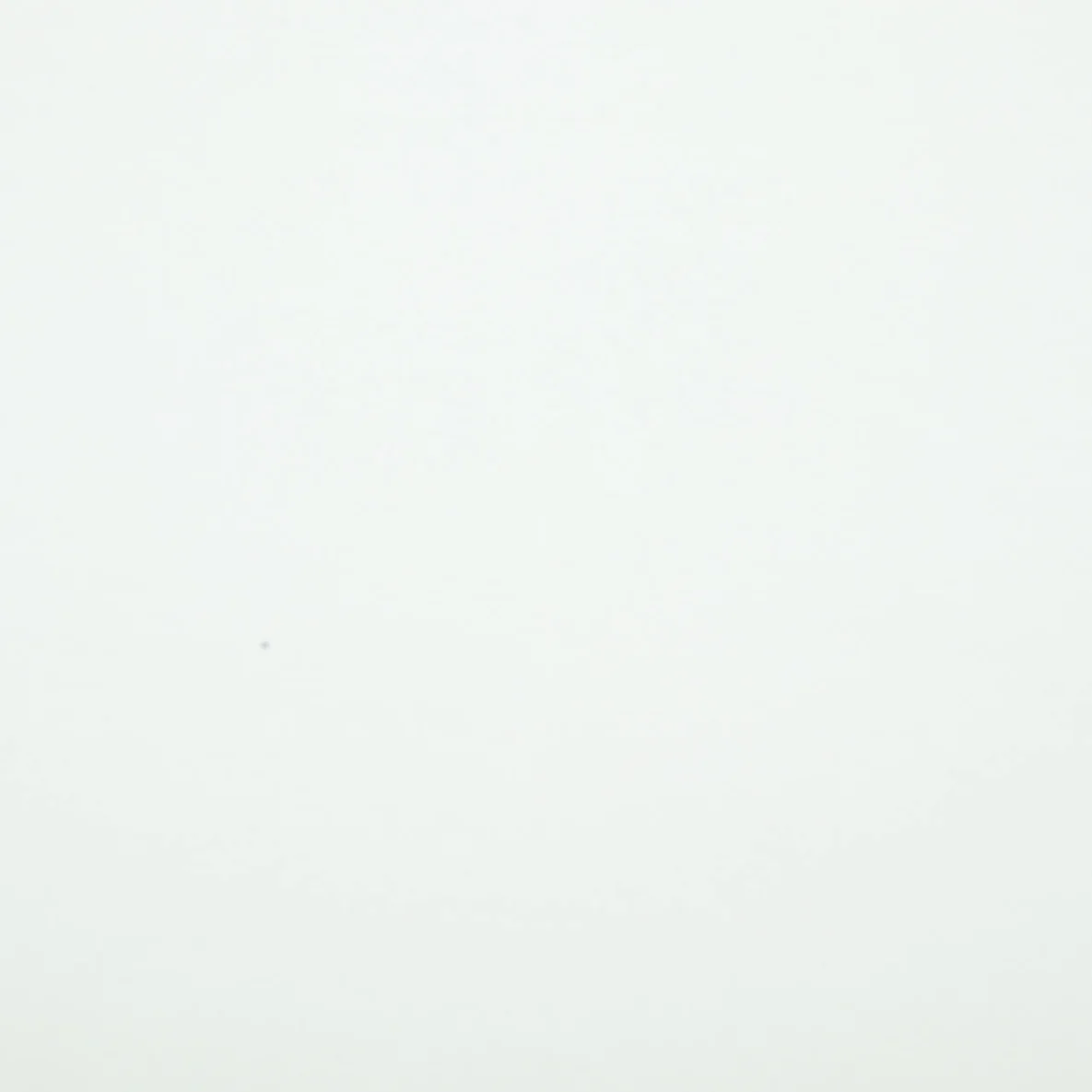 Jersey Little Jax Uni Ecru