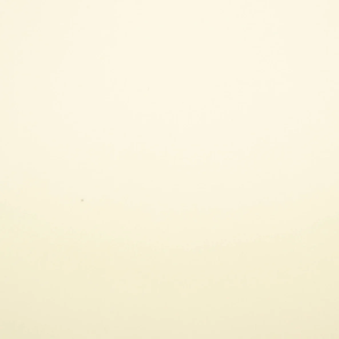 Jersey Twill Uni Creme