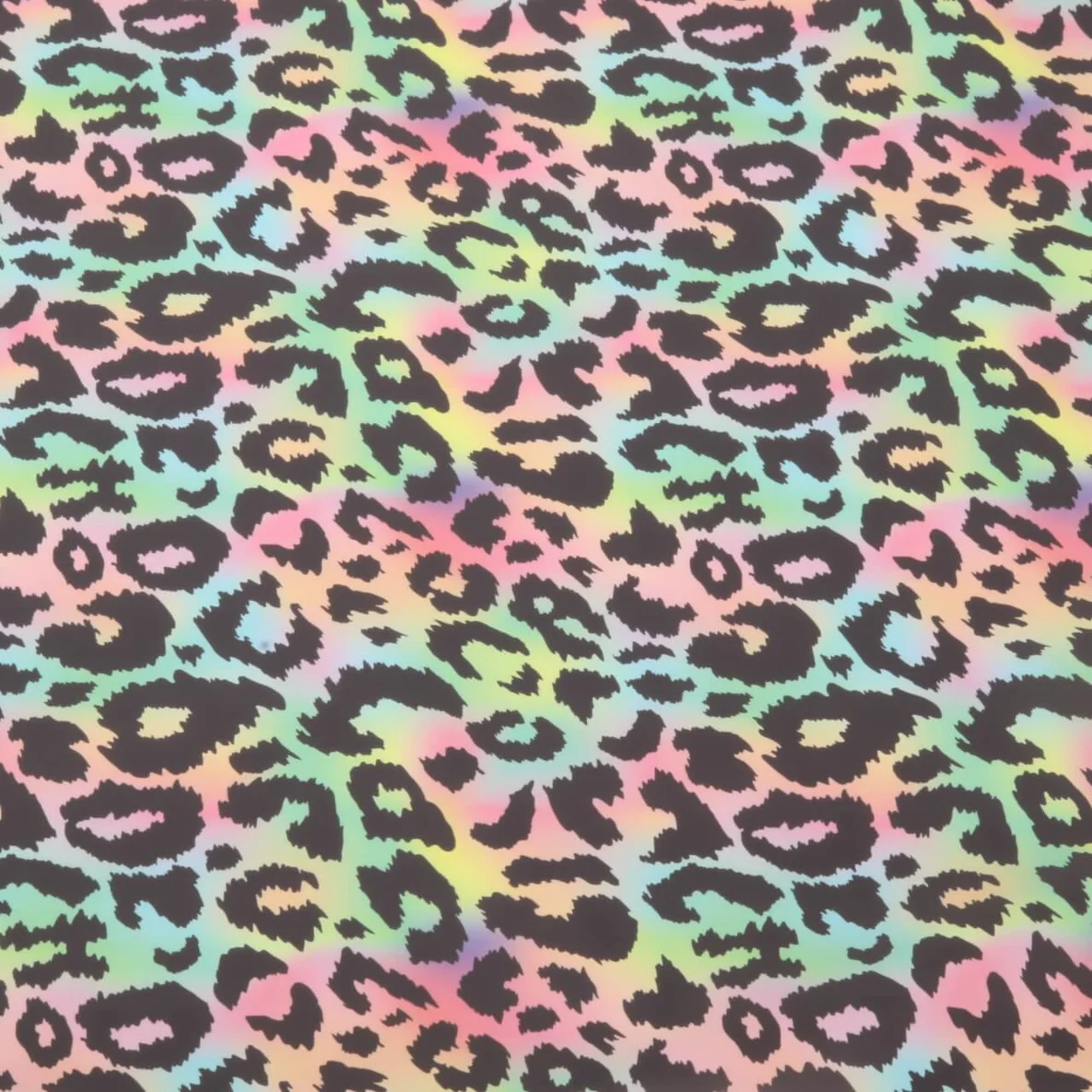 Regenjackenstoff Aqua Protect Leo Multicolor