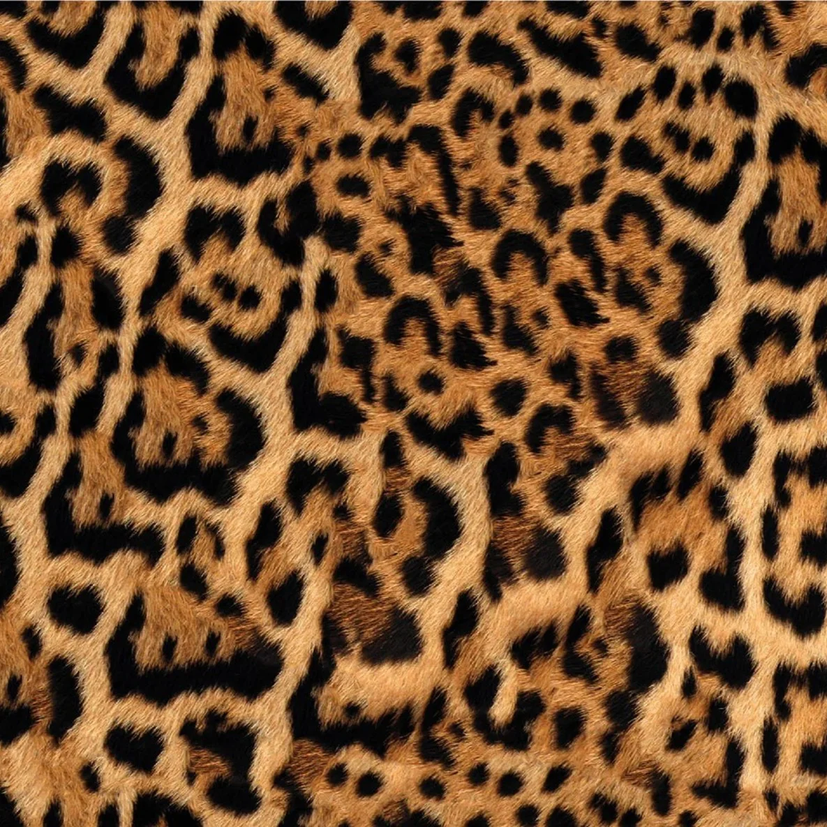 Regenjackenstoff Panther Braun