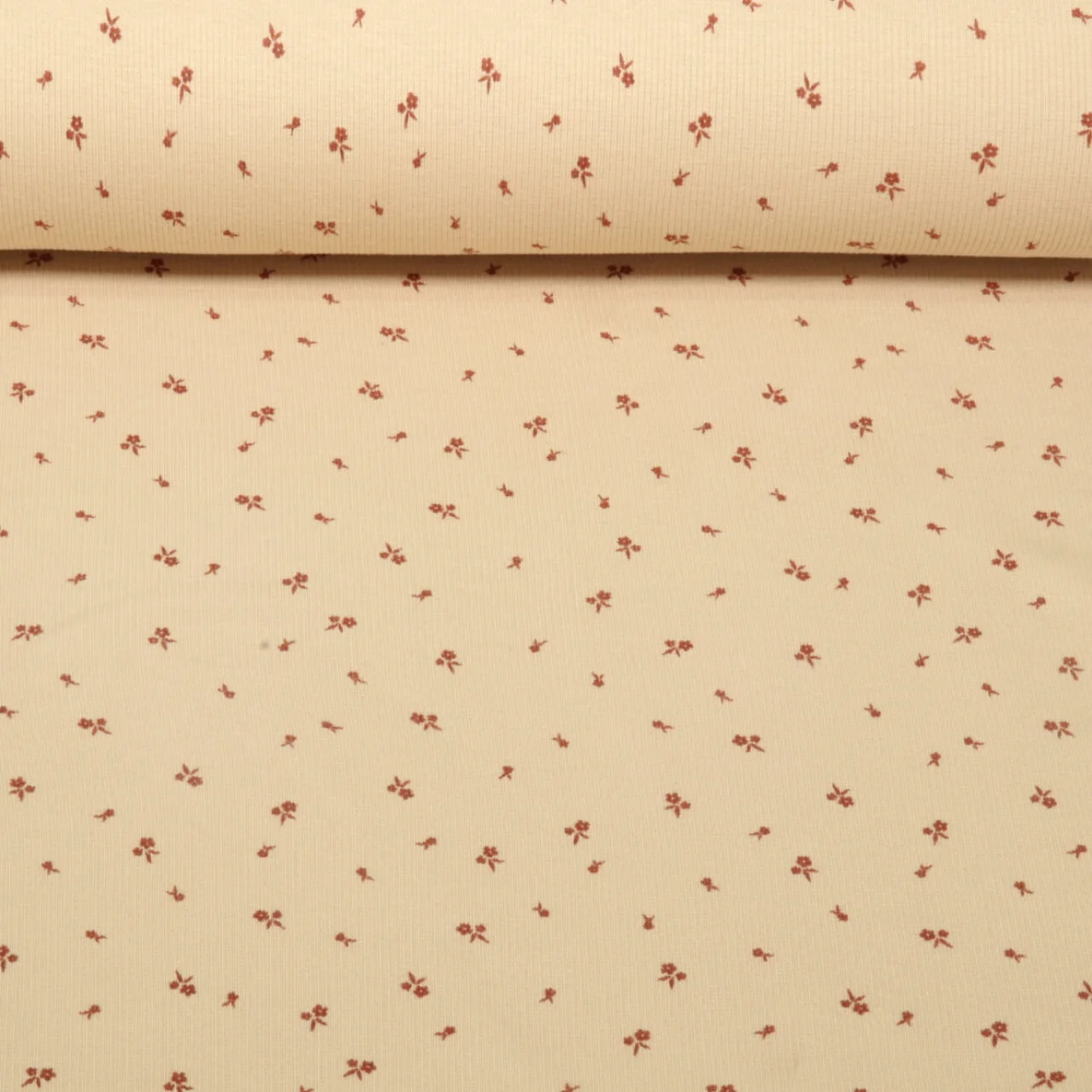 Rippjersey Blümchen Beige 