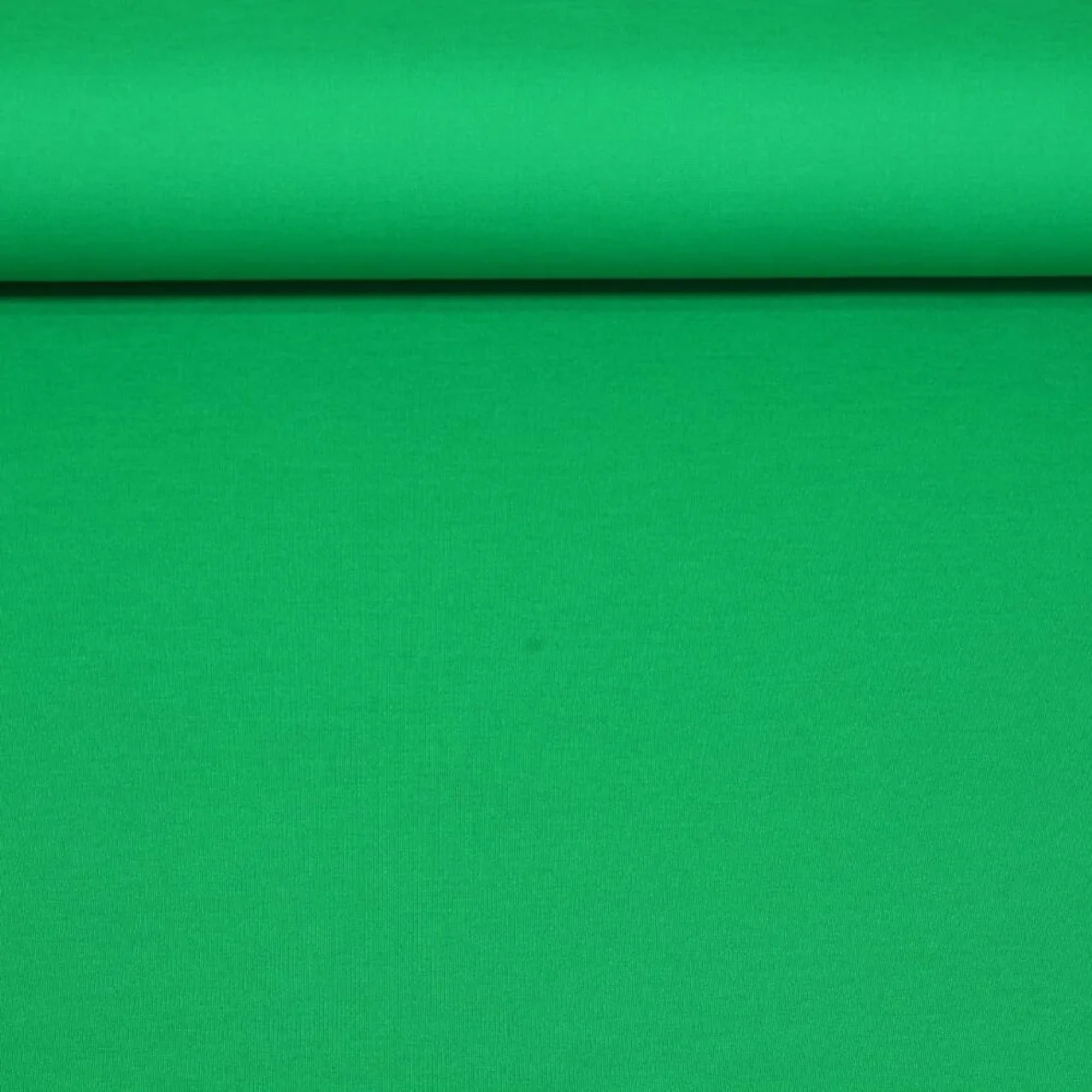 Romanit Jersey "Rachel" Grasgrün