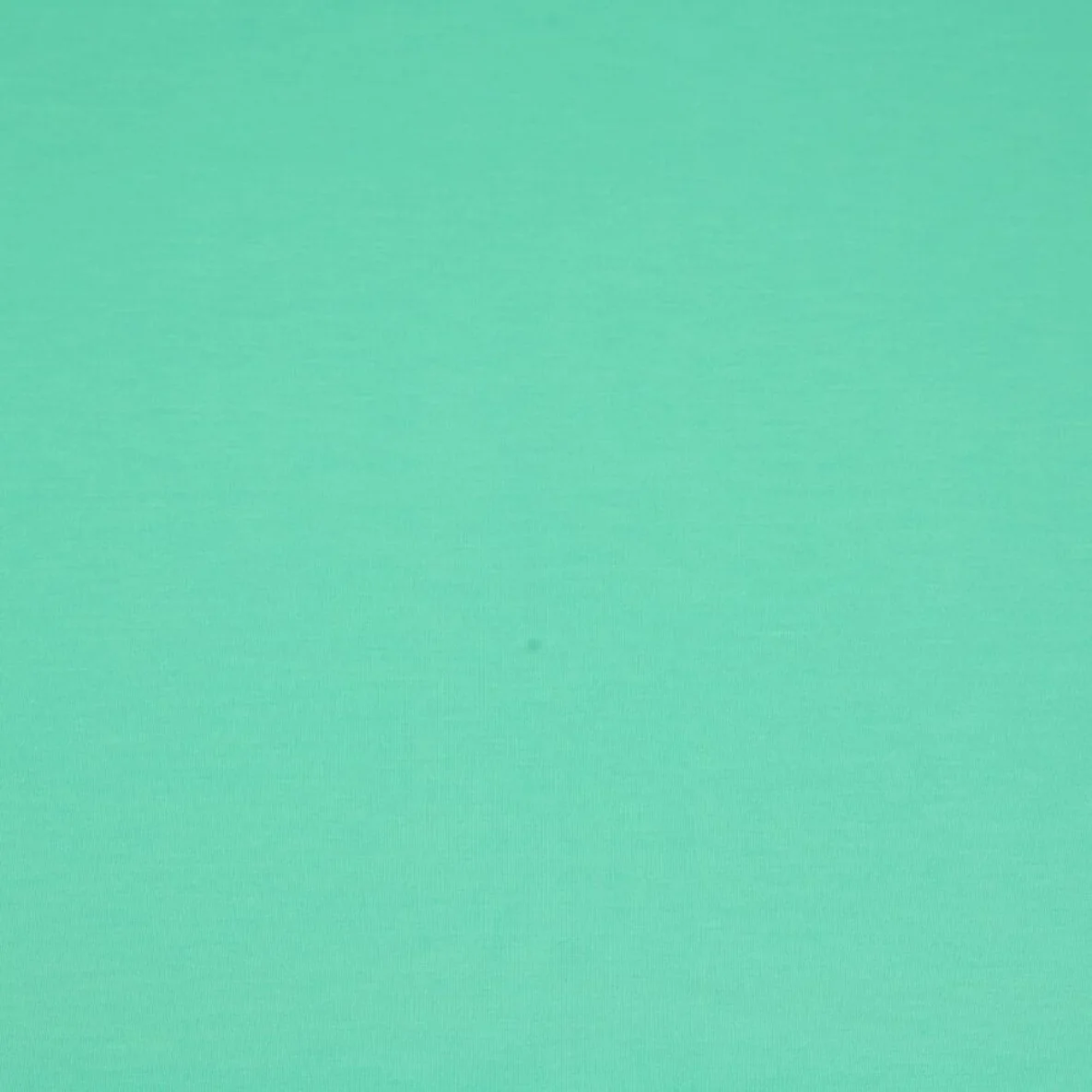 Romanit Jersey "Rachel" Tiffanygrün