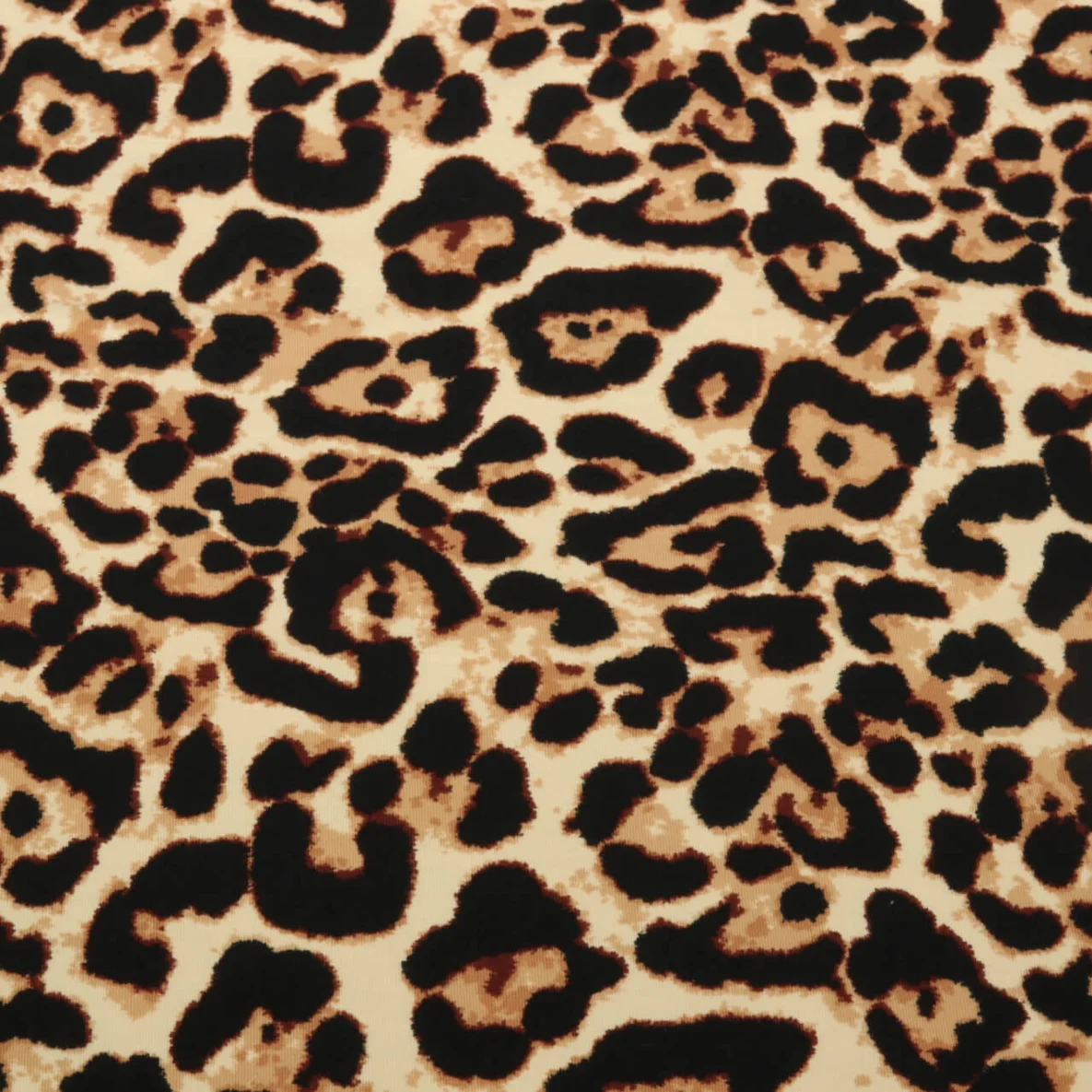 Sommersweat French Terry Leo Big Beige Angeraut