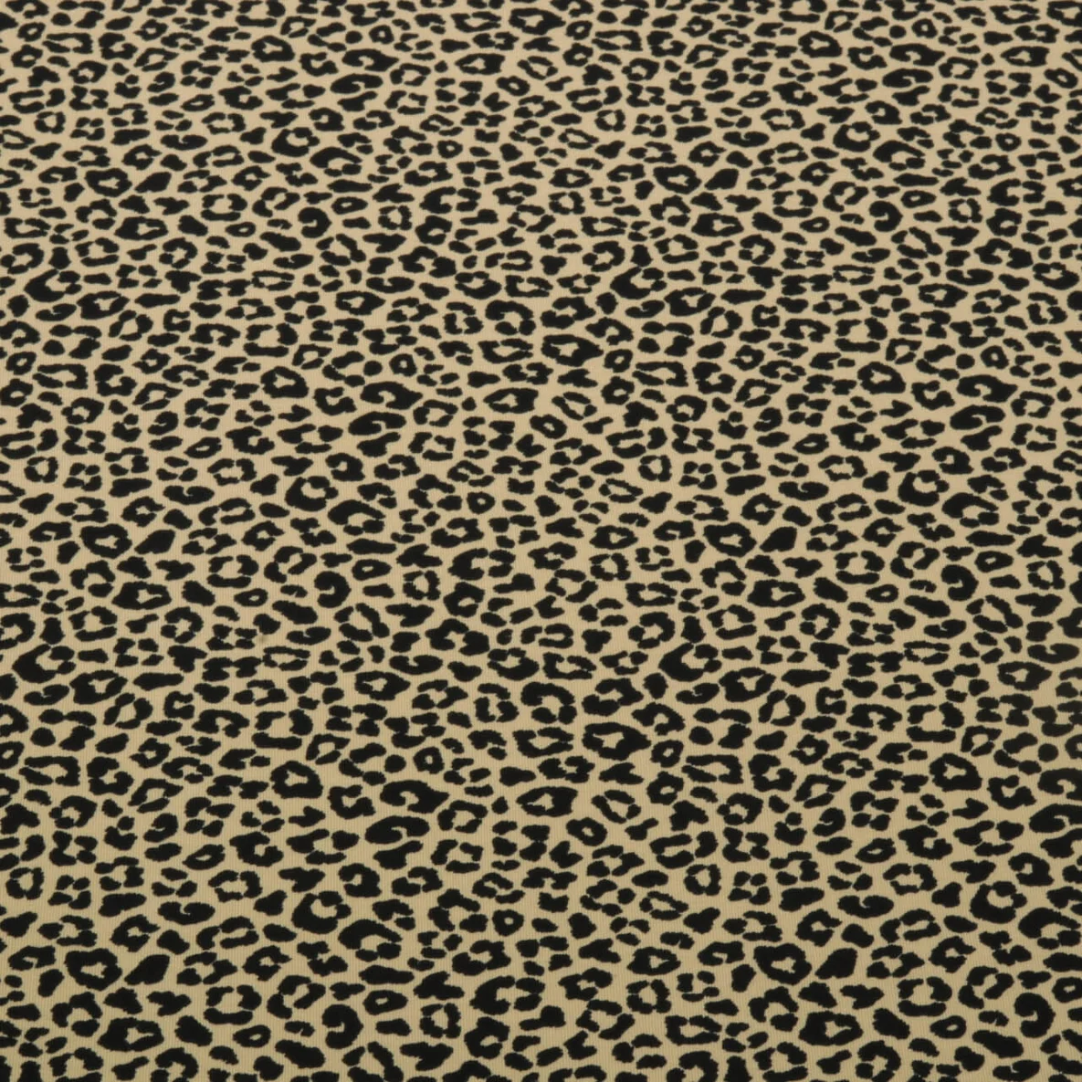 Sommersweat French Terry Leo Sand 