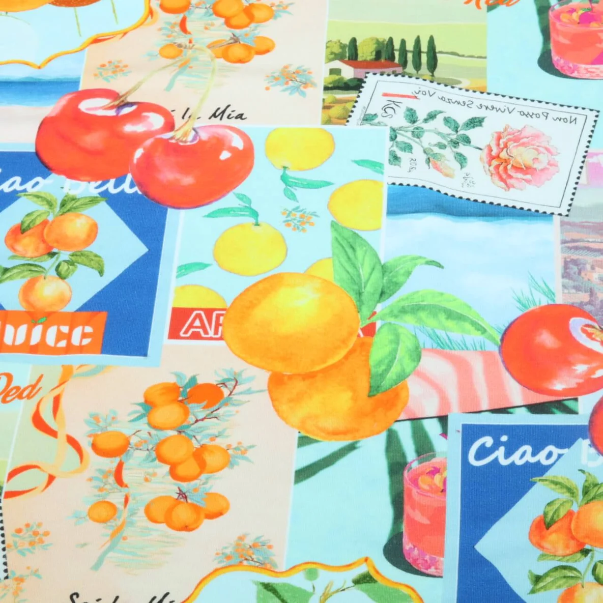 Sommersweat French Terry Südfrüchte Multicolor