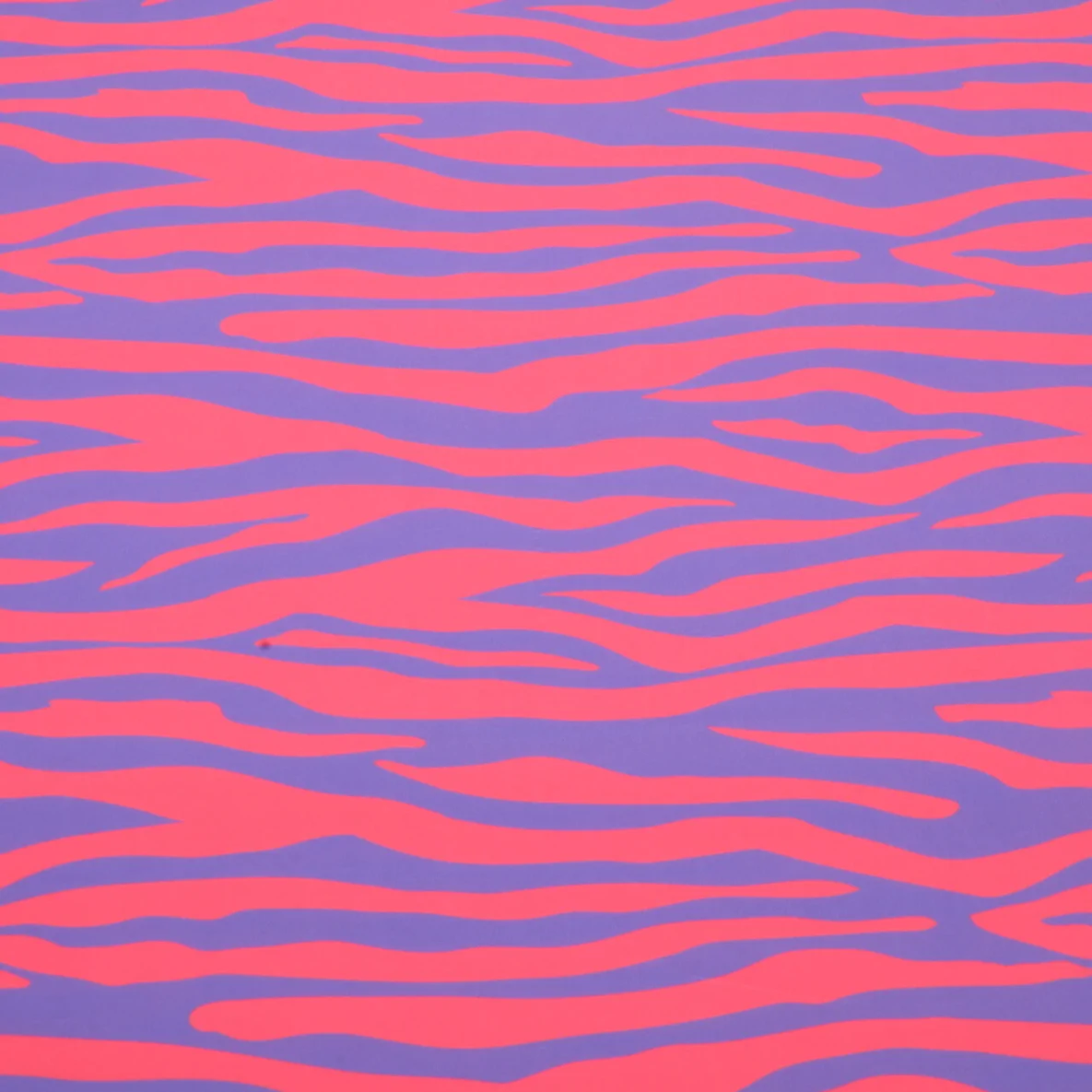 d033ded62054462791d0f4624af80db8