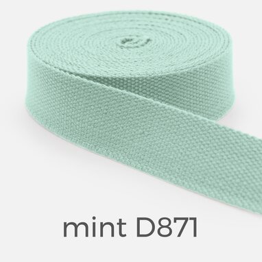Gurtband 25mm Baumwollmix Soft 3m Länge, Mint D871