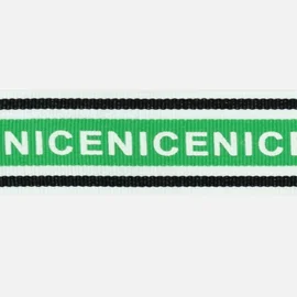 Ripsband NICE 30 mm apfelgrün