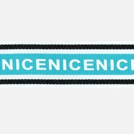 Ripsband NICE 30 mm petrol