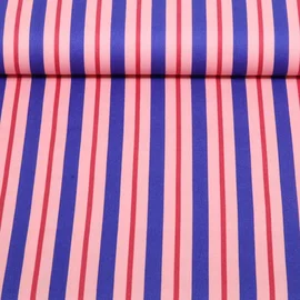Baumwoll-Canvas Streifen Rosa Blau