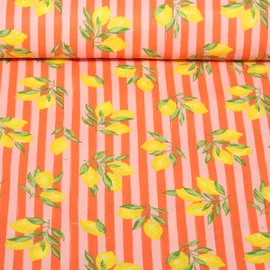 Baumwoll Webware Streifen Zitronen Orange