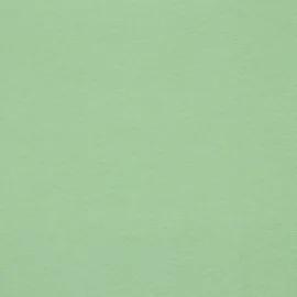 Bio Bündchen "Poppy" Uni Salbeigrün 058