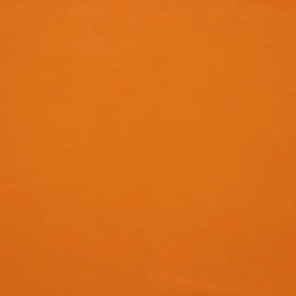 Bio Sommersweat "Josie" Uni Apricot 024