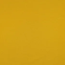 Bio Sommersweat "Josie" Uni Curry 029