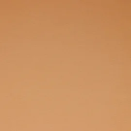 Bio Sommersweat "Josie" Uni Dunkellachs 068