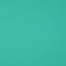 Bio Sommersweat "Josie" Uni Grün 076